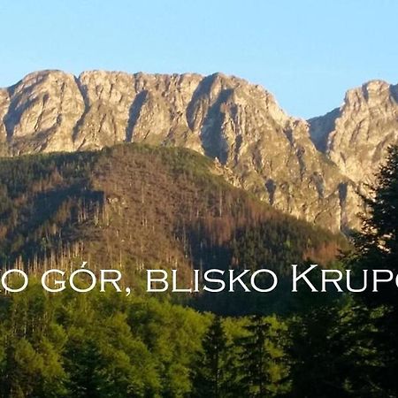 Willa Otulina Pod Giewontem Ζακοπάνε Εξωτερικό φωτογραφία