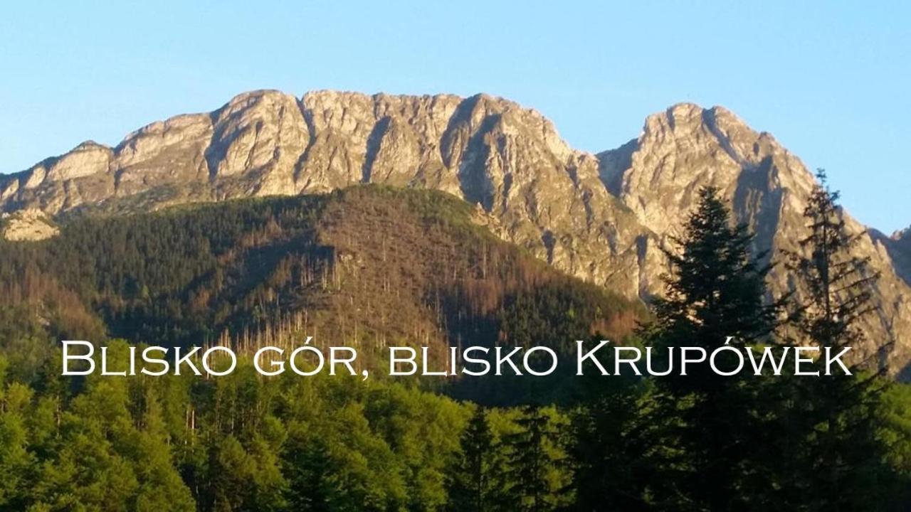 Willa Otulina Pod Giewontem Ζακοπάνε Εξωτερικό φωτογραφία